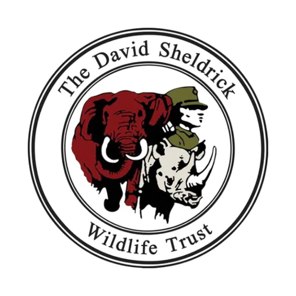 The David Sheldrick Wildlife Trust